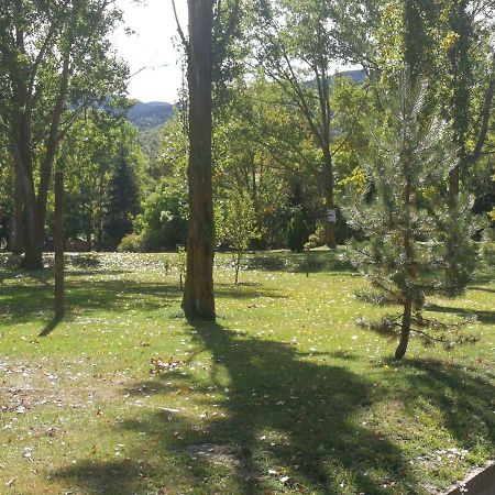 Вилла Llac I Осежа Экстерьер фото